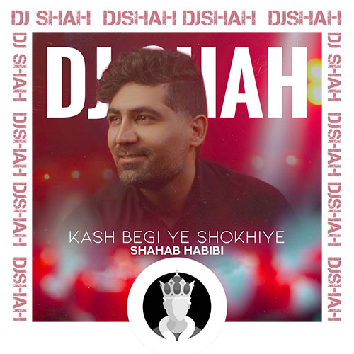 shahab habibi ye shokhie remix version 2023 03 29 05 10