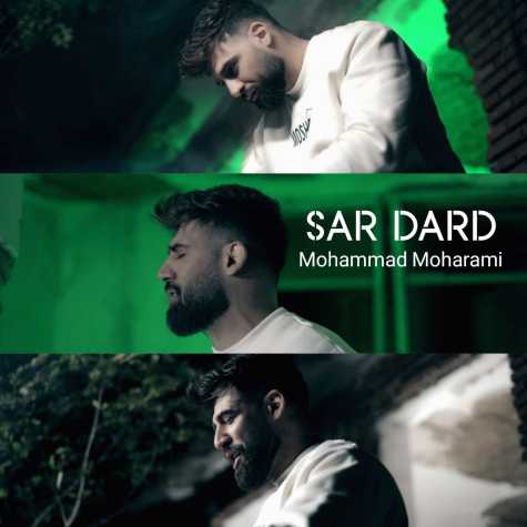 mohammad moharami sardard 2023 11 29 17 55