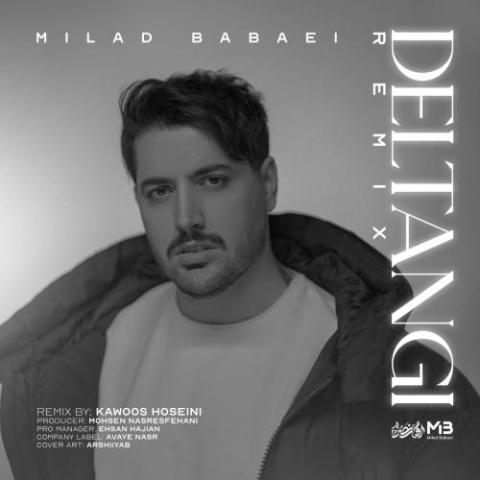 milad babaei deltangi remix 2024 08 28 17 15