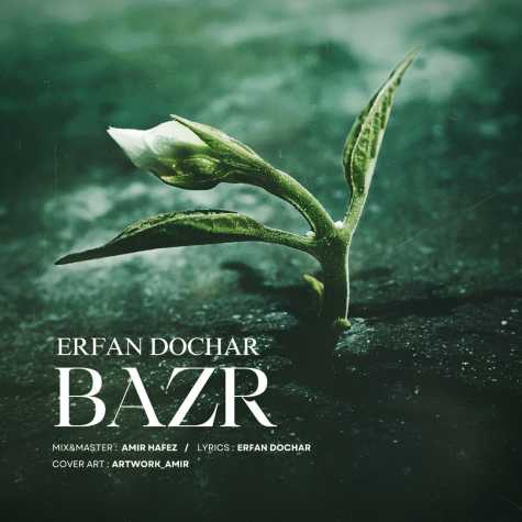 erfan dochar bazr 2024 10 13 08 06