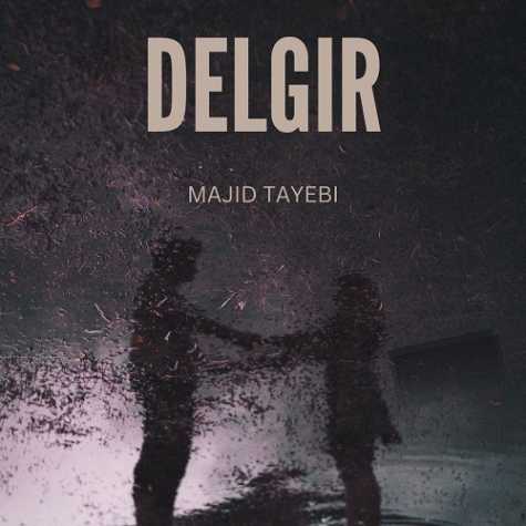 majid tayebi delgir 2024 11 29 10 24