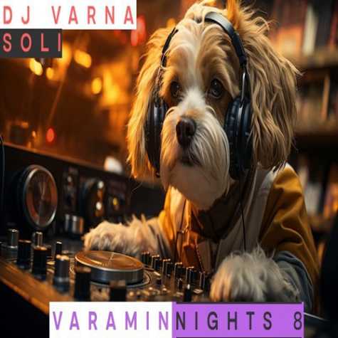 dj varna varamin nights 08 2024 12 04 16 15