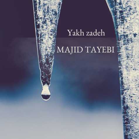 majid tayebi yakh zadeh 2024 12 13 17 15