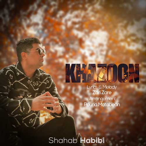 shahab habibi khazoon 2024 12 10 17 06