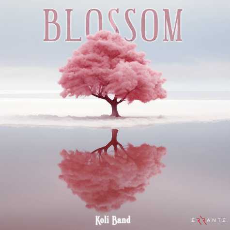 koli band blossom 2025 02 11 08 54