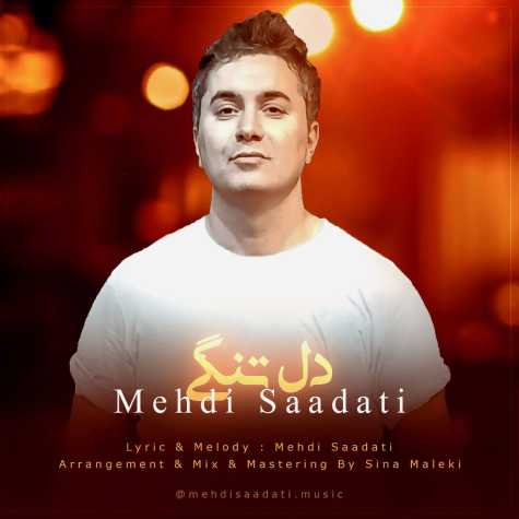 mehdi saadati deltangi 2025 02 15 17 27