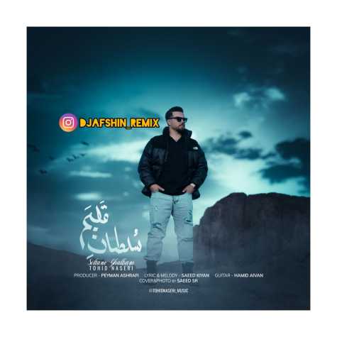 tohid naseri remix soltan ghalbam 2025 02 19 12 36