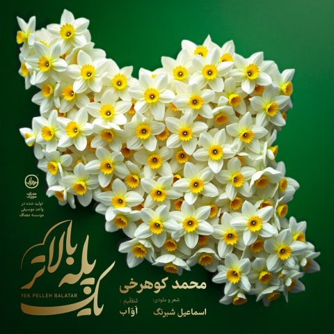 دانلود آهنگ محمد کوهرخی یک پله بالاتر 1 mohammad koohrokhi yek pelle balatar 2025 05 03 14 00