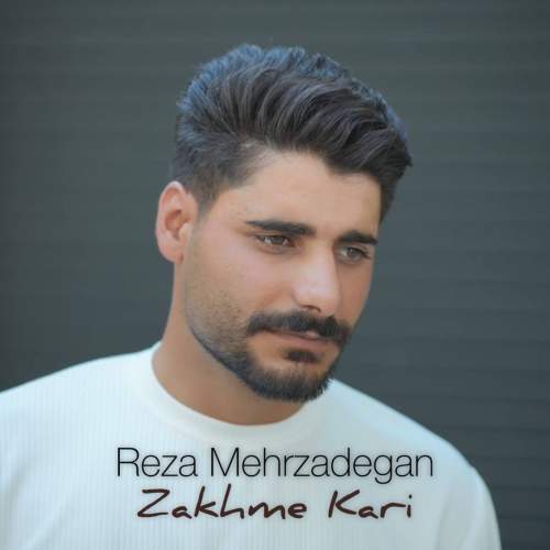reza mehrzadegan zakhme kari 2025 07 28 10 02