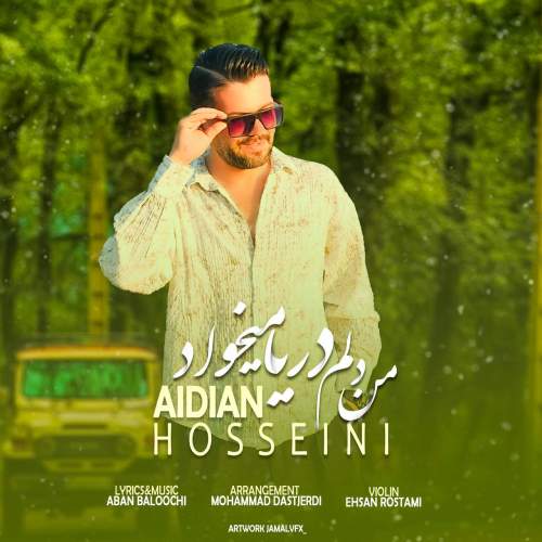 aidin hosseini man delam darya mikhad 2025 09 29 10 00