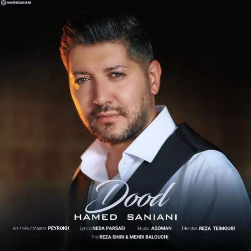 hamed saniani dood 2025 09 01 14 00
