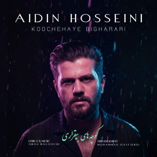 aidin hosseini koochehaye bigharari 2025 11 17 19 30