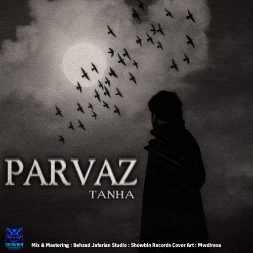 parvaz tanha 2025 11 18 13 00