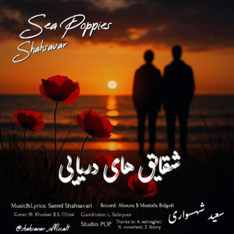 saeed shahsavari shahsavar sea poppies 2025 11 12 19 30