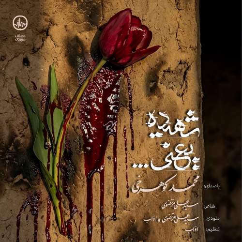 mohammad koohrokhi shahide yani 2025 12 28 19 30