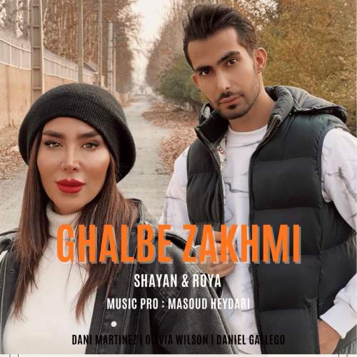 shayan x roya ghalbe zakhmi 2025 12 16 18 00