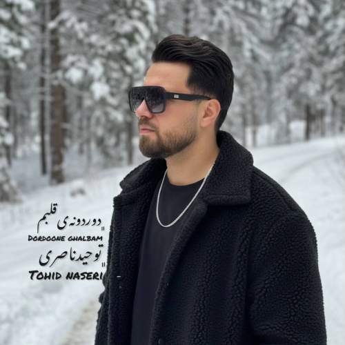 tohid naseri dordooneye ghalbam 2025 12 25 23 30