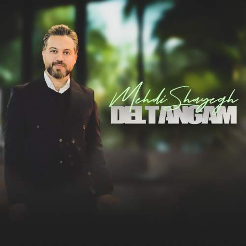 mehdi shayegh deltangam 2026 02 01 20 30