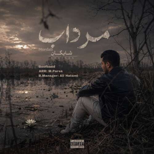 shaygan mordab 2026 06 10 17 00
