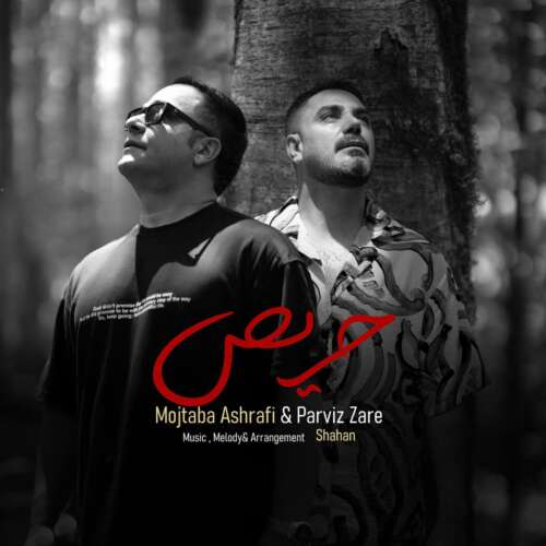 mojtaba ashrafi ft parviz zare haris 2026 07 12 06 24