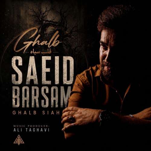 دانلود آهنگ سعید برسام قلب سیاه 13 saeid barsam ghalbe siah 2026 08 29 14 00