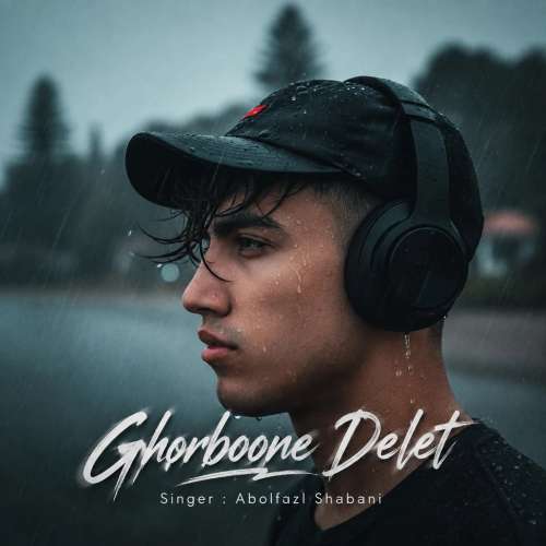 abolfazl shabani ghorboone delet 2026 09 24 11 30