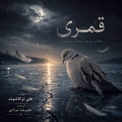 ali torkashvand ghomri 2026 09 01 14 30