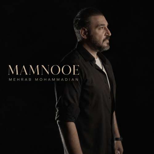 mehrab mohammadian mamnooe 2026 10 03 17 00